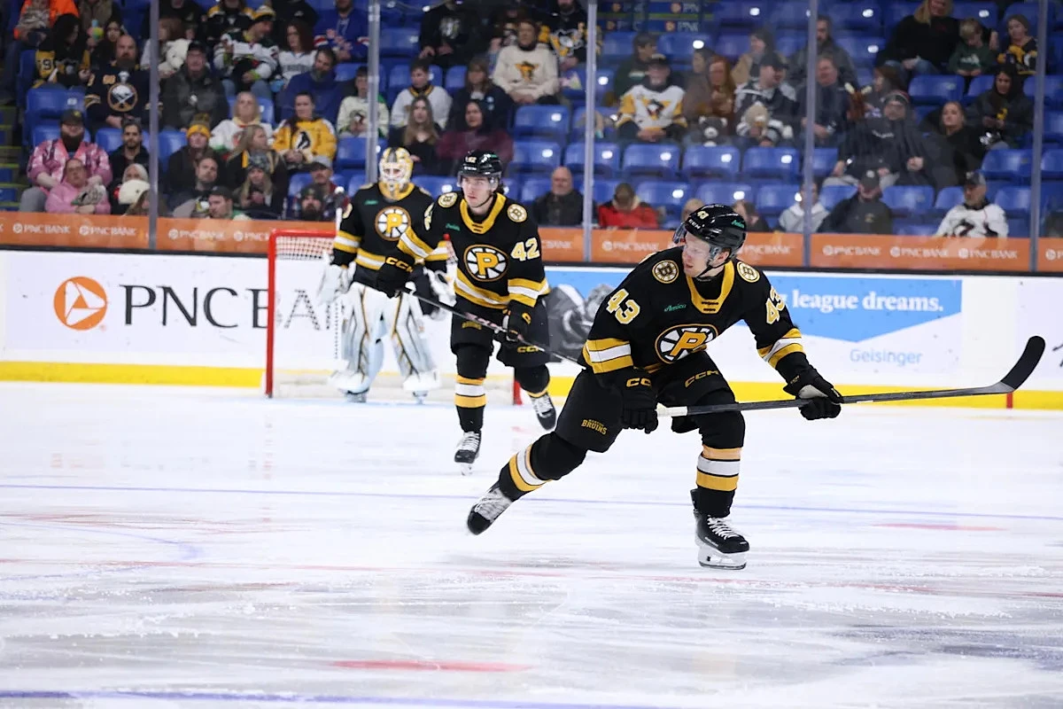 Providence Bruins Calder Cup Playoffs Preview: A Closer Look at the Juggernauts