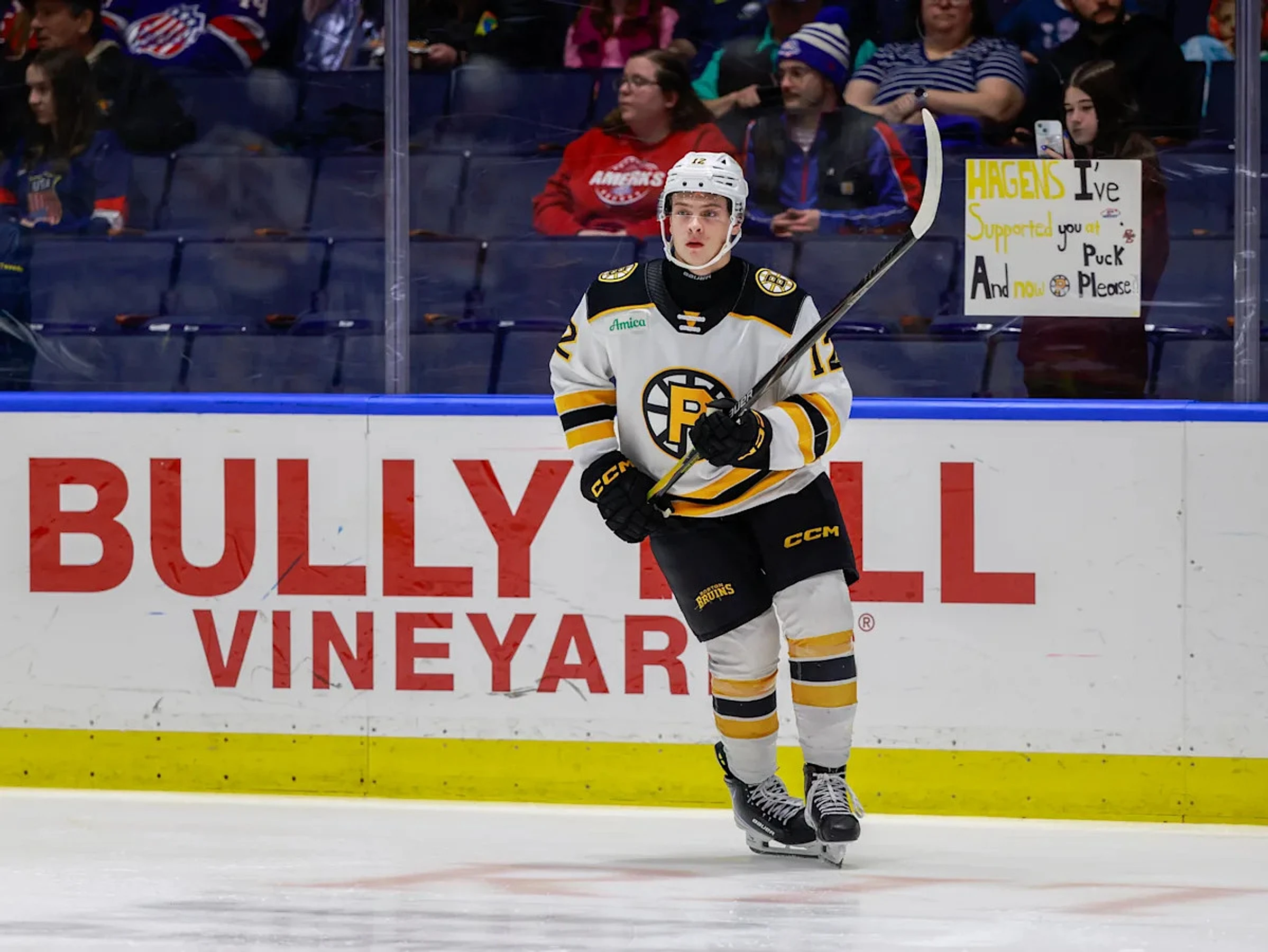 Bruins sign James Hagens to entry-level contract