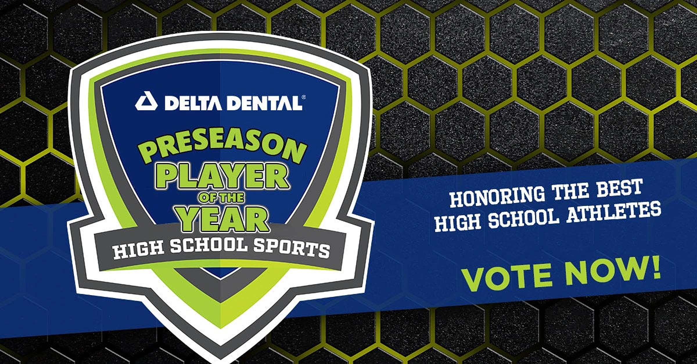 Vote for Vermont HS baseball preseason player of year powered by Delta Dental