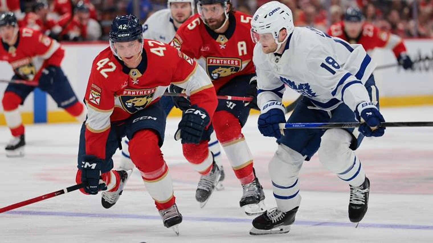 Maple Leafs, Panthers face off in position they never expected