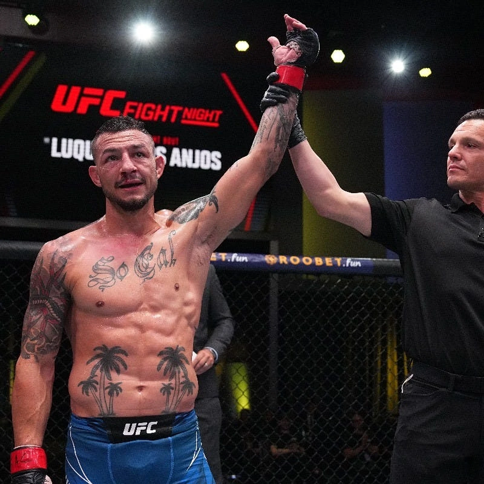Cub Swanson: The word 'journeyman' is being misused and misrepresented