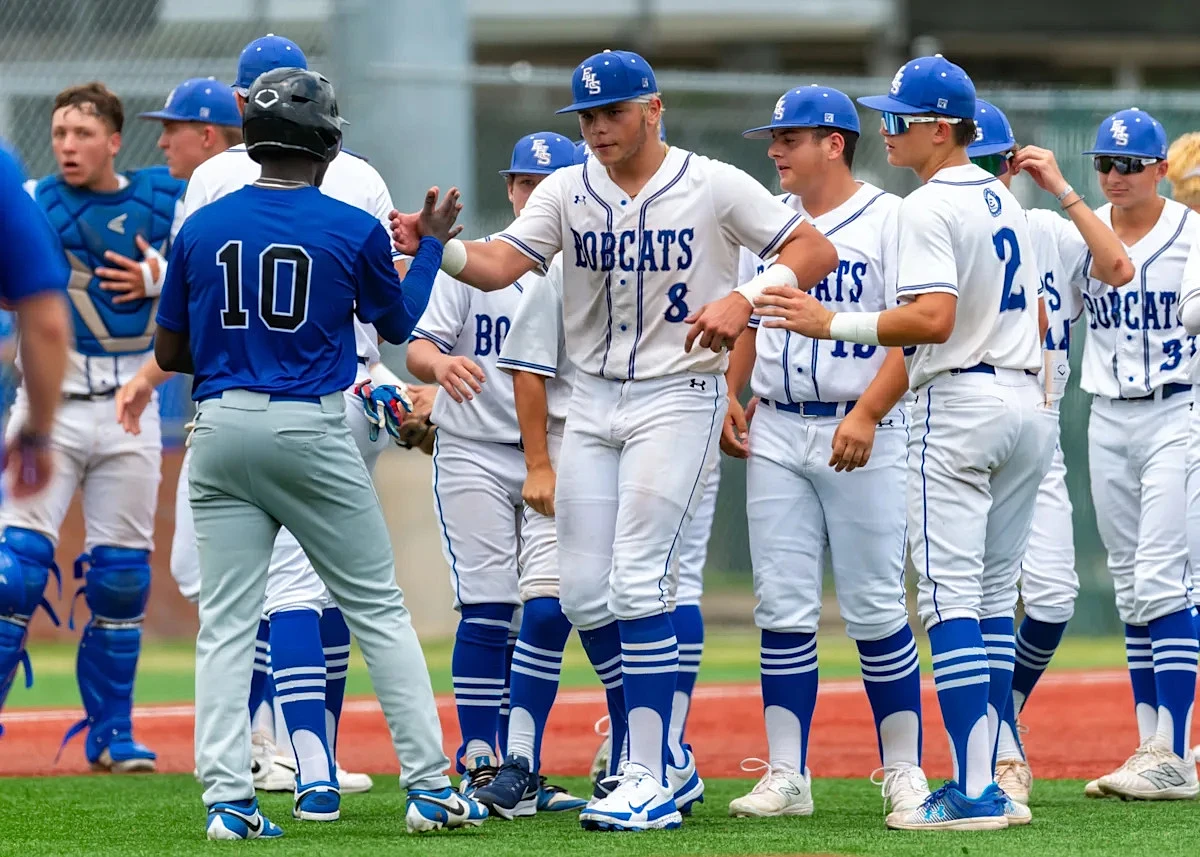 See which 28 Lafayette-Area baseball teams made the LHSAA Playoffs