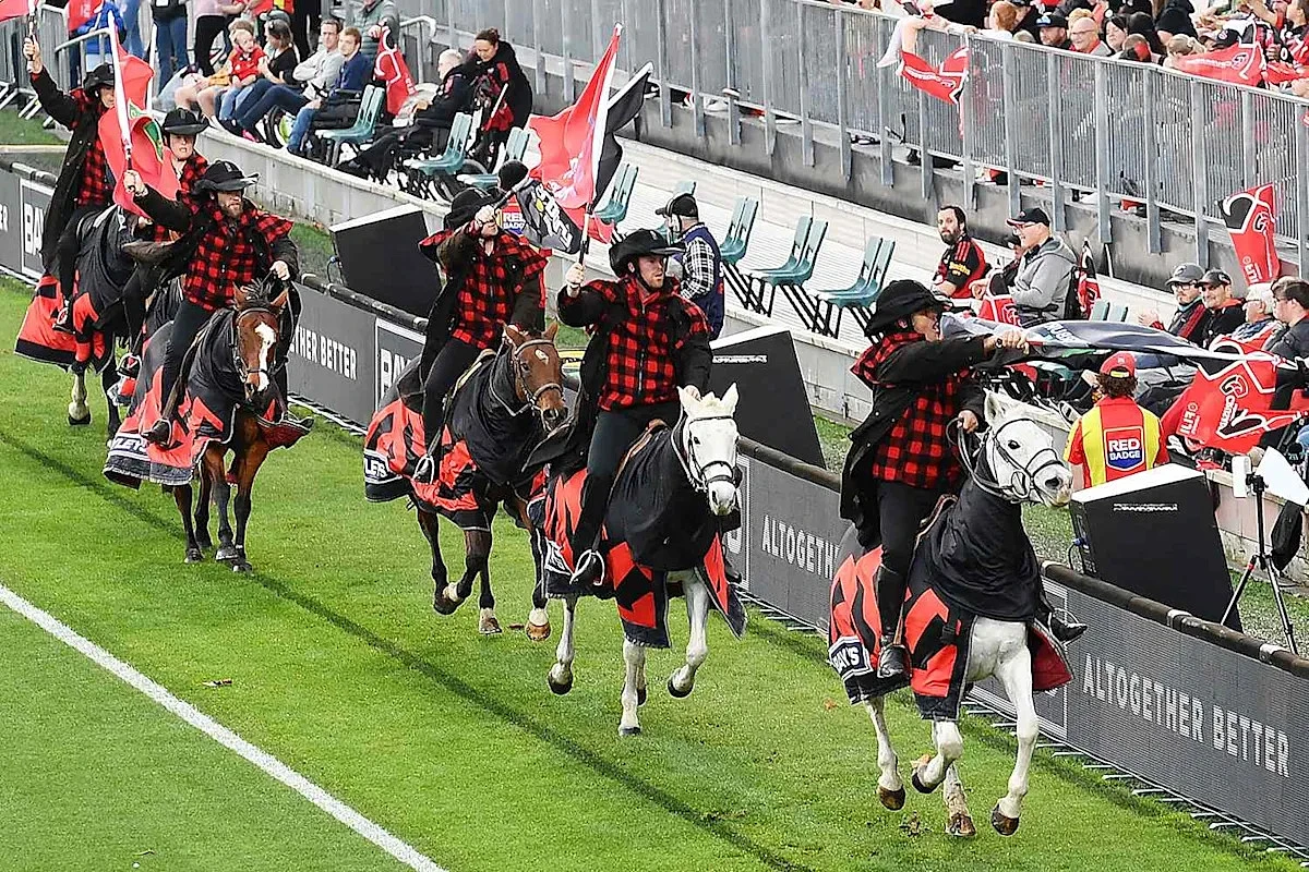 New Zealand's Crusaders Retire Iconic Matchday Horses After Nearly 30 Years, Citing Safety Concerns