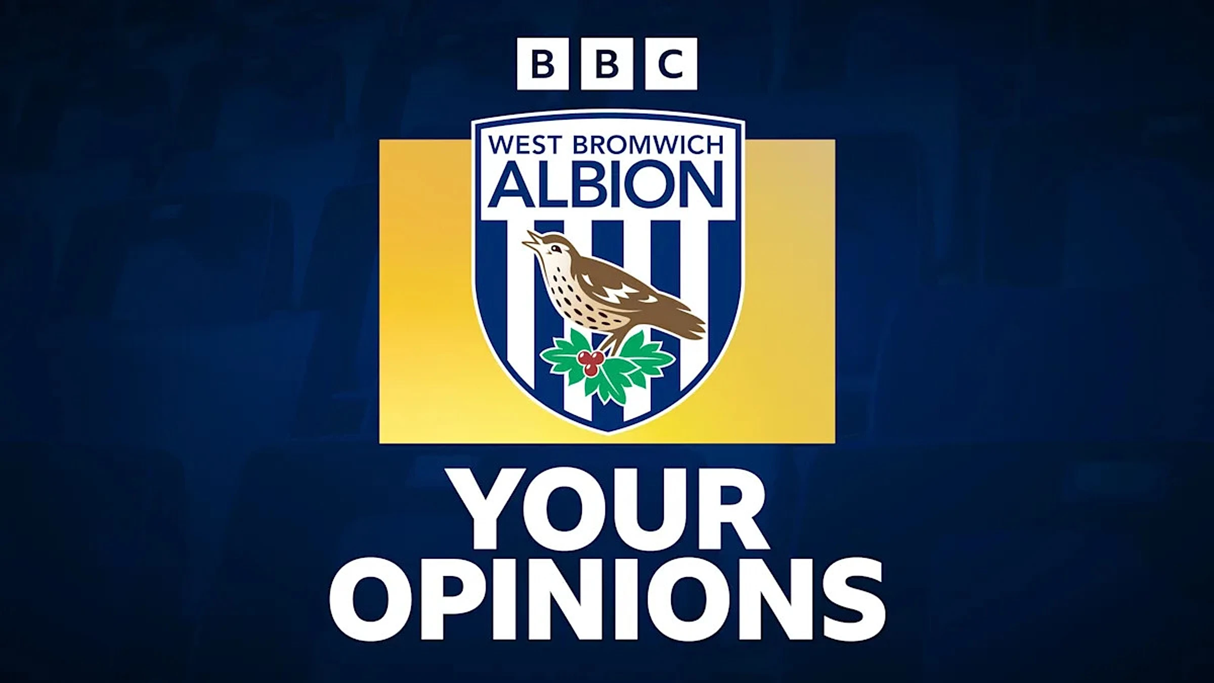 'We can stay up if we avoid a points deduction'