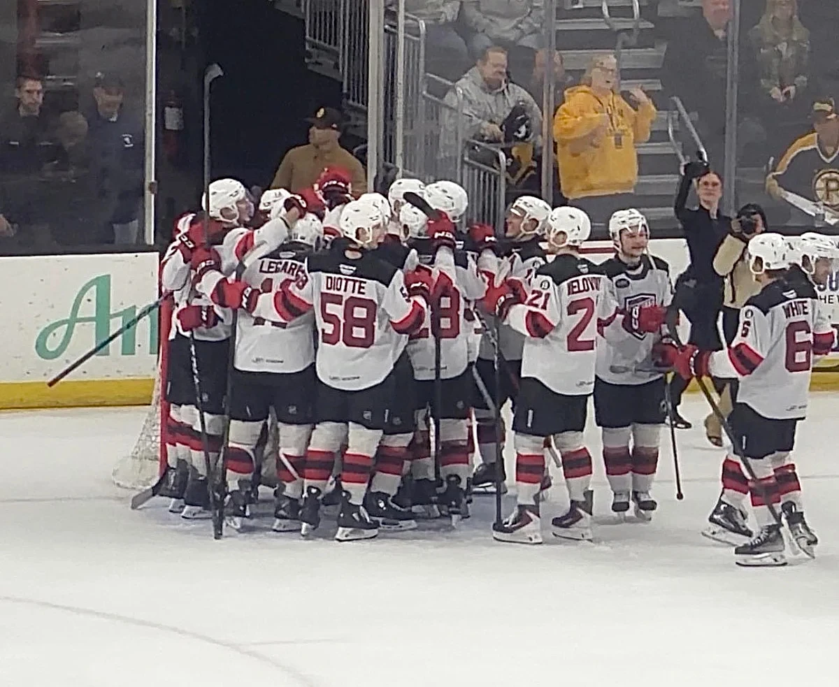 Comets Come Up Short, Eliminated From Calder Cup Playoffs