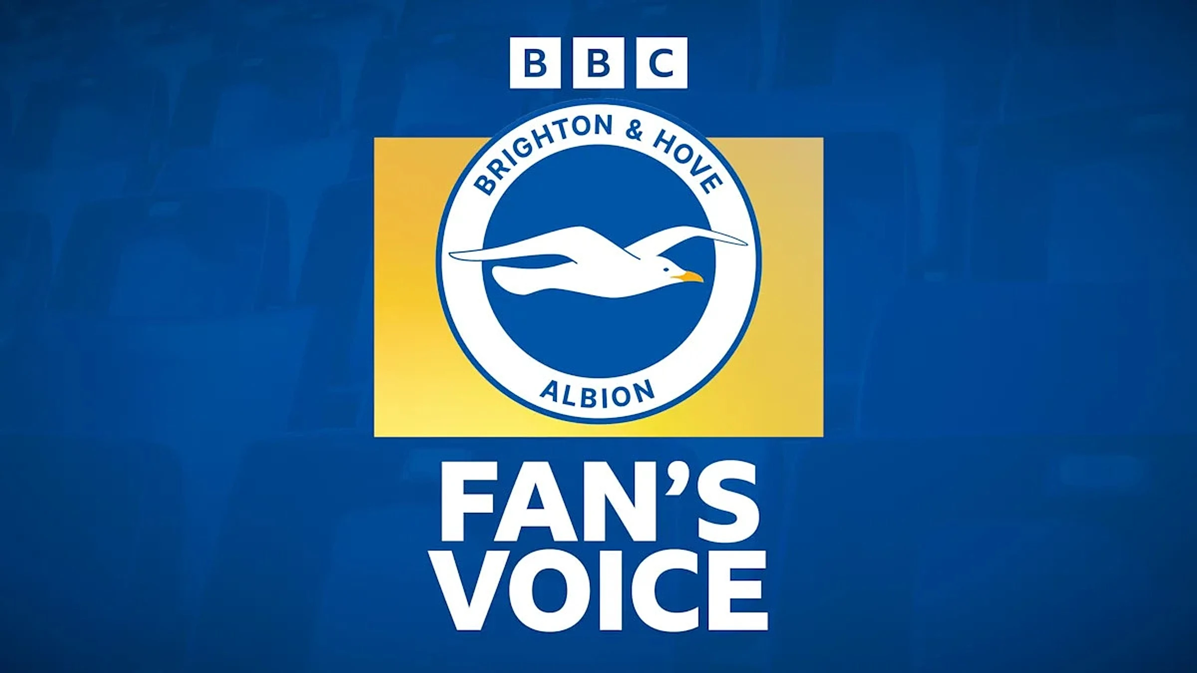 'Closing of an era' if Webster's time at Brighton ends this summer