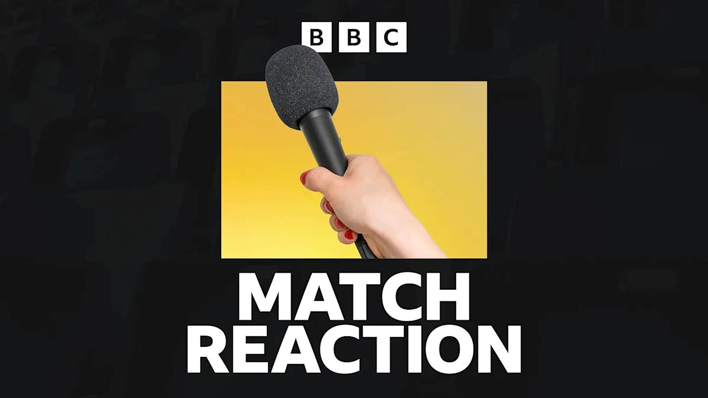 Nottingham Forest 1-0 Aston Villa: What Emery said