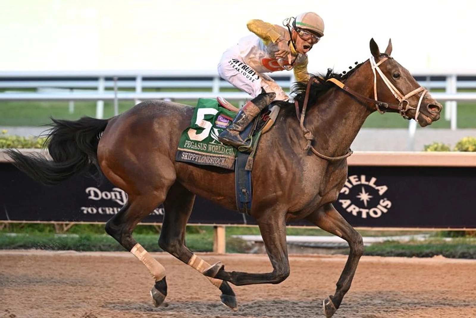 Churchill Downs offers several top races besides the Kentucky Derby