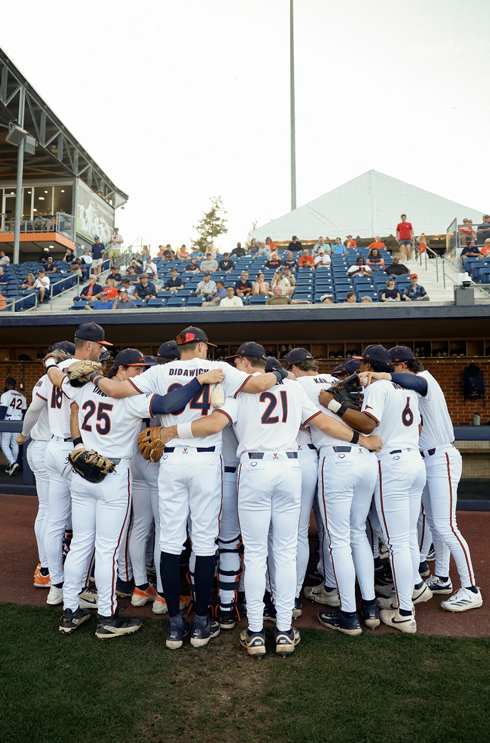 Evaluating UVA baseball’s postseason resume ahead of the Cal series