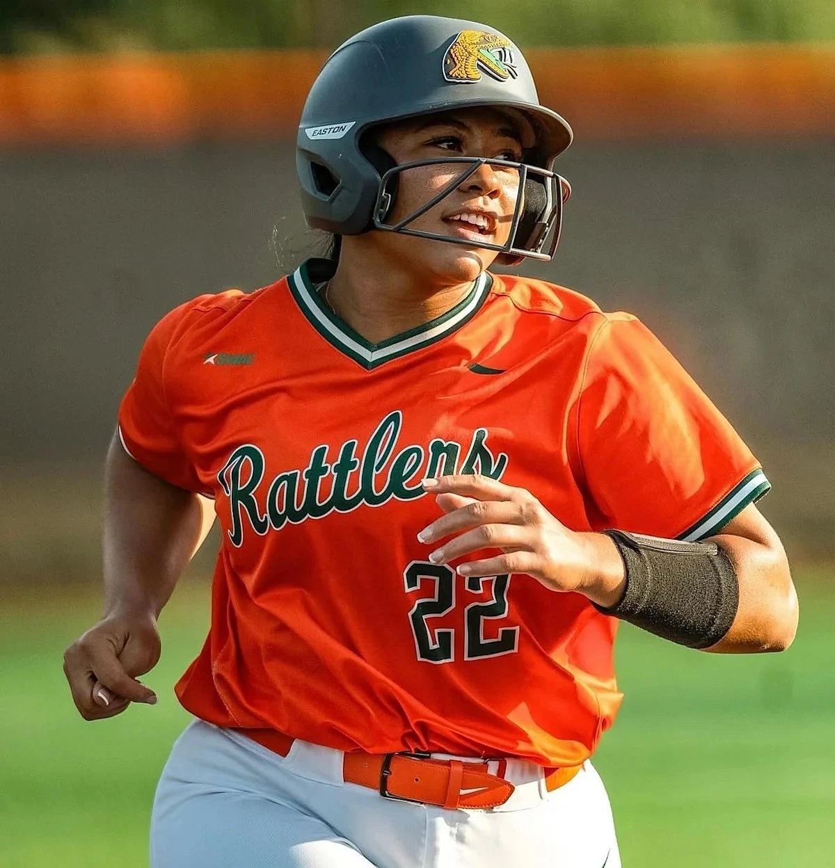 FAMU softball to play in NCAA Tournament's Florida Gators Regional