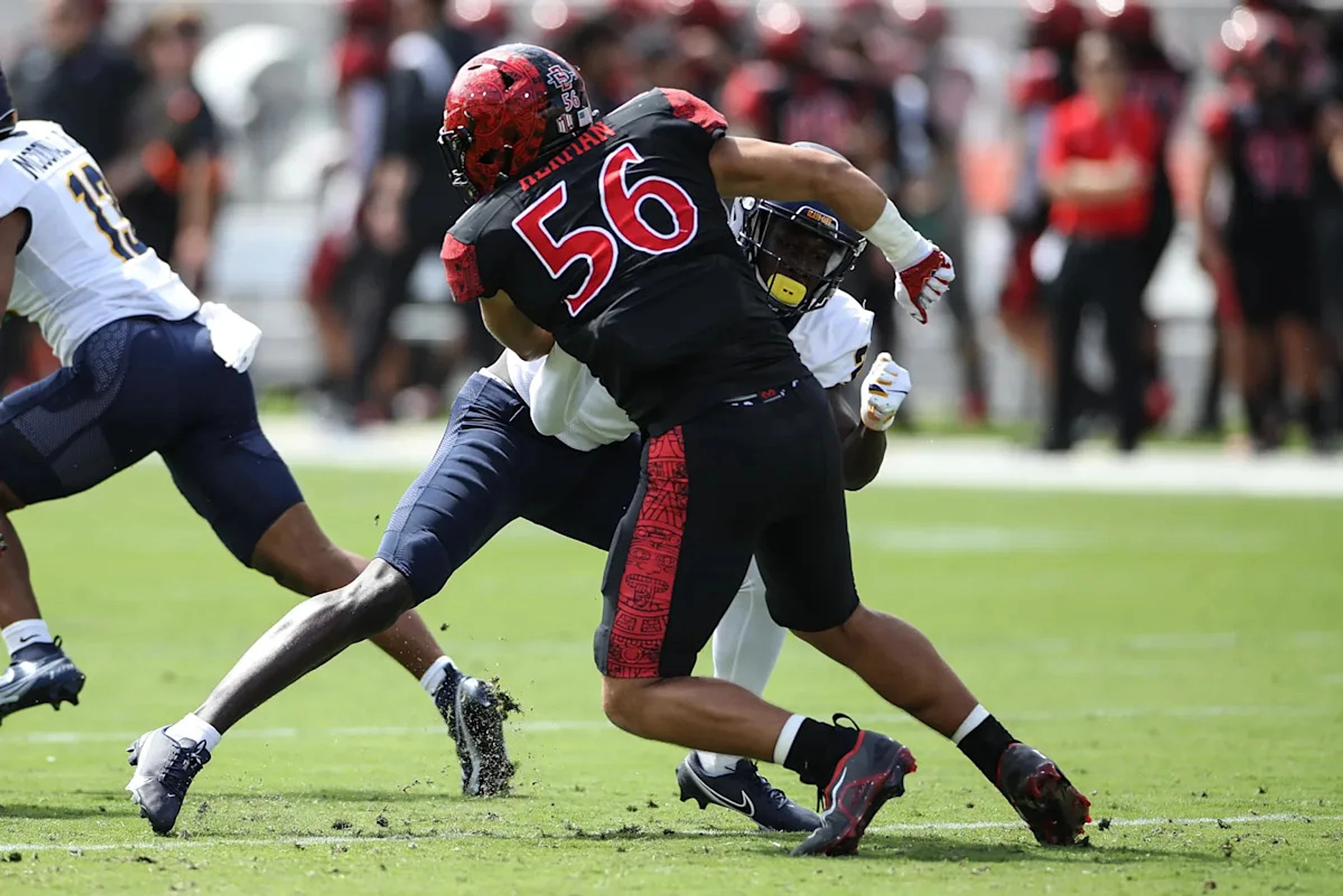 Dolphins sign tryout player from rookie minicamp