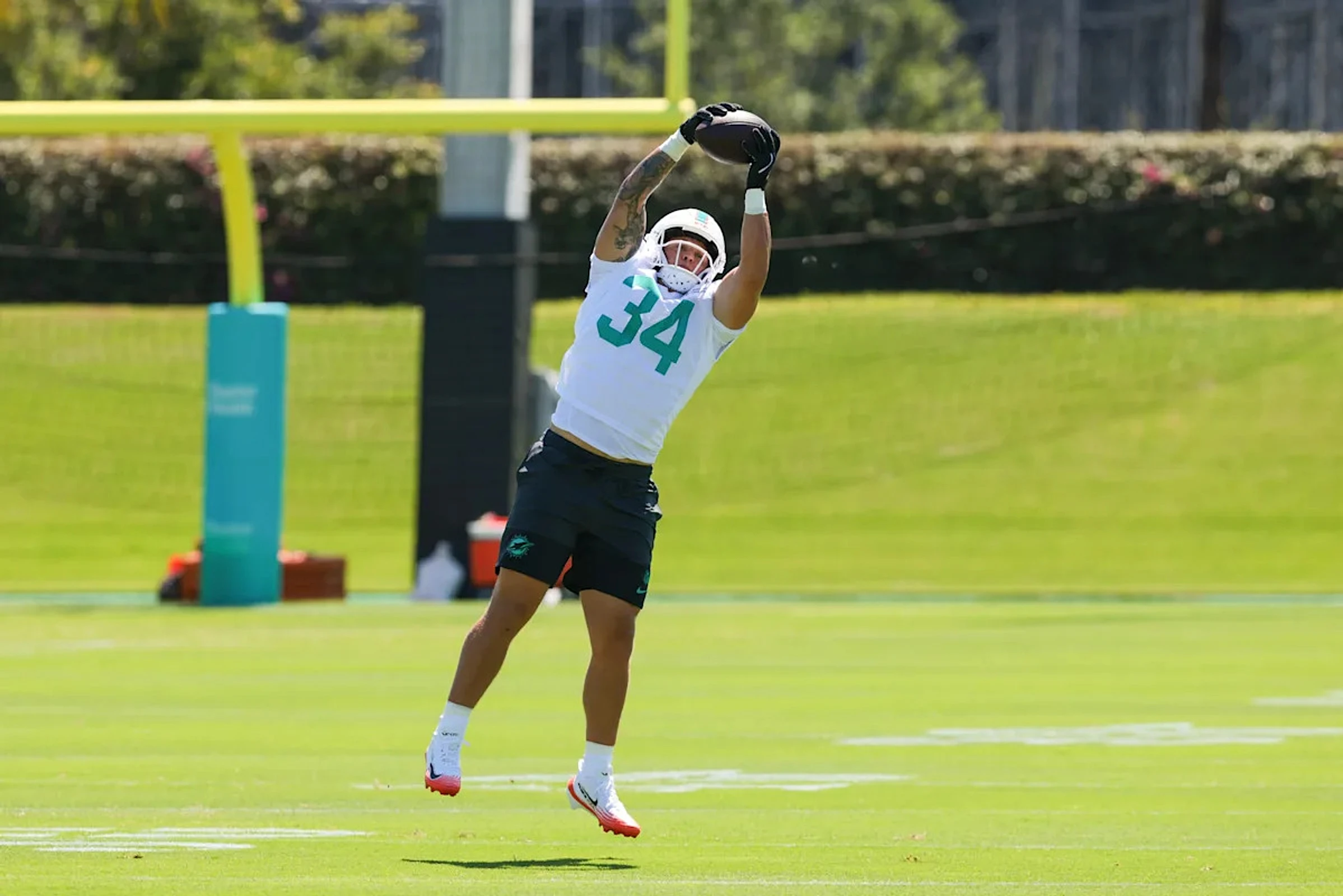 Dolphins sign rookie after successful minicamp tryout