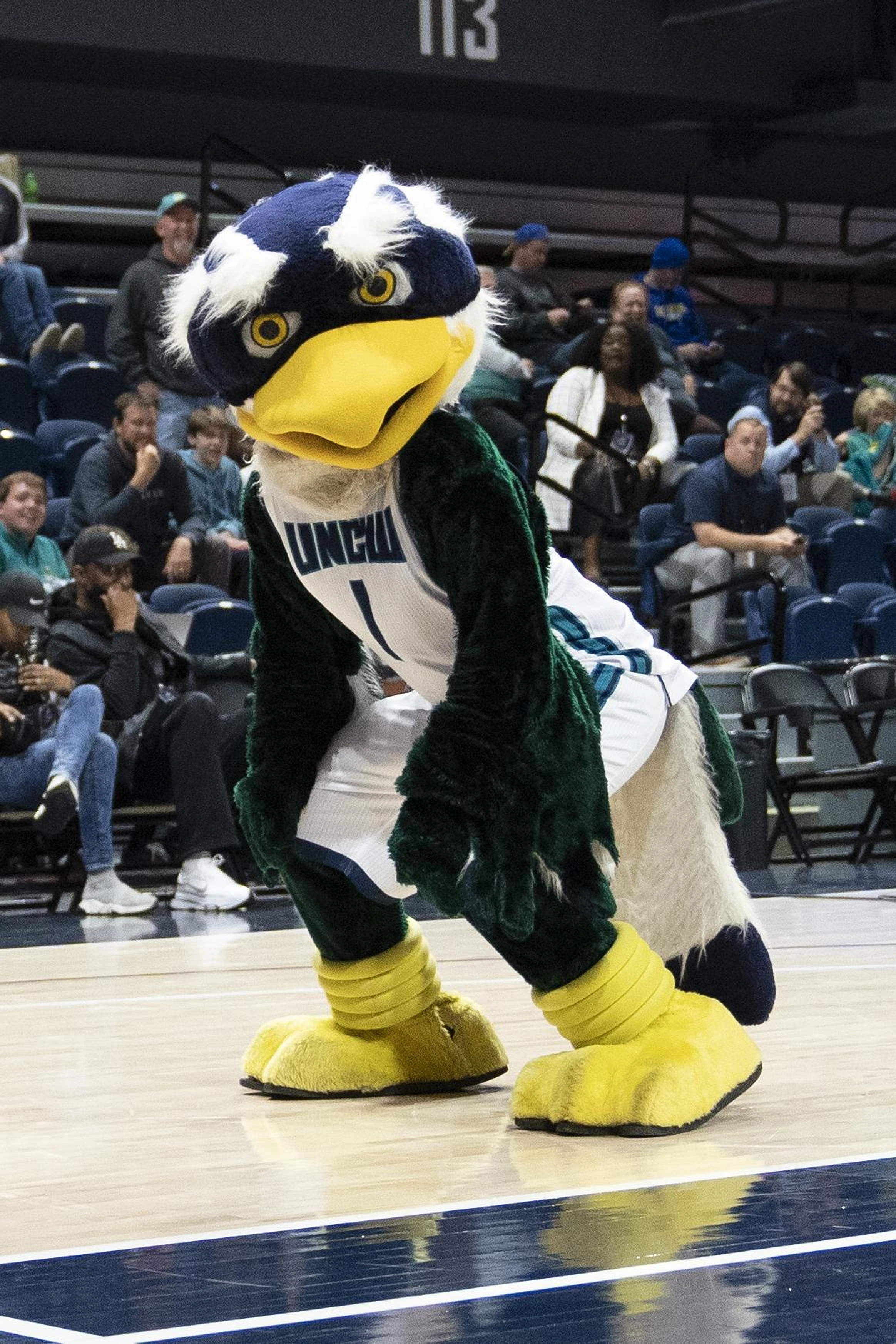 Lauren Young Announces Her Transfer To Marquette Volleyball