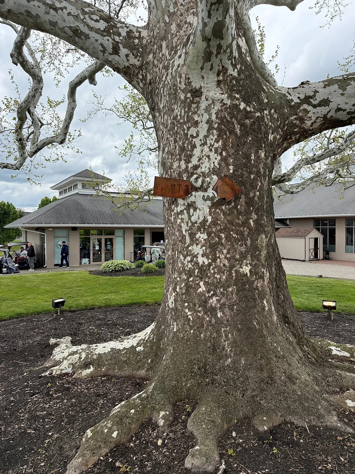 Redesigned Shore golf course holes drawing raves: 'Love the aesthetics'