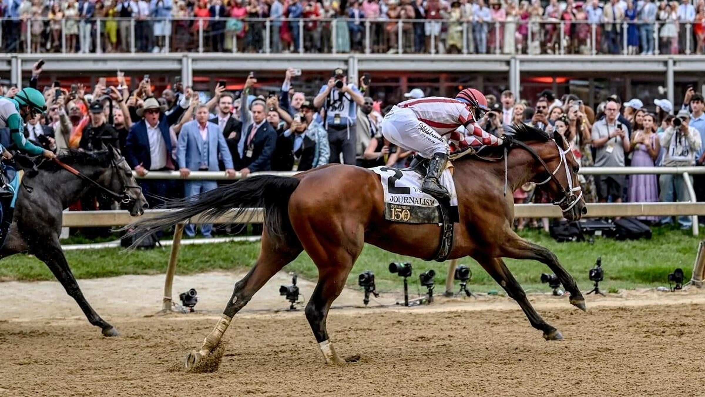 Great White profile: 2026 Preakness Stakes odds, post position, history and more to know
