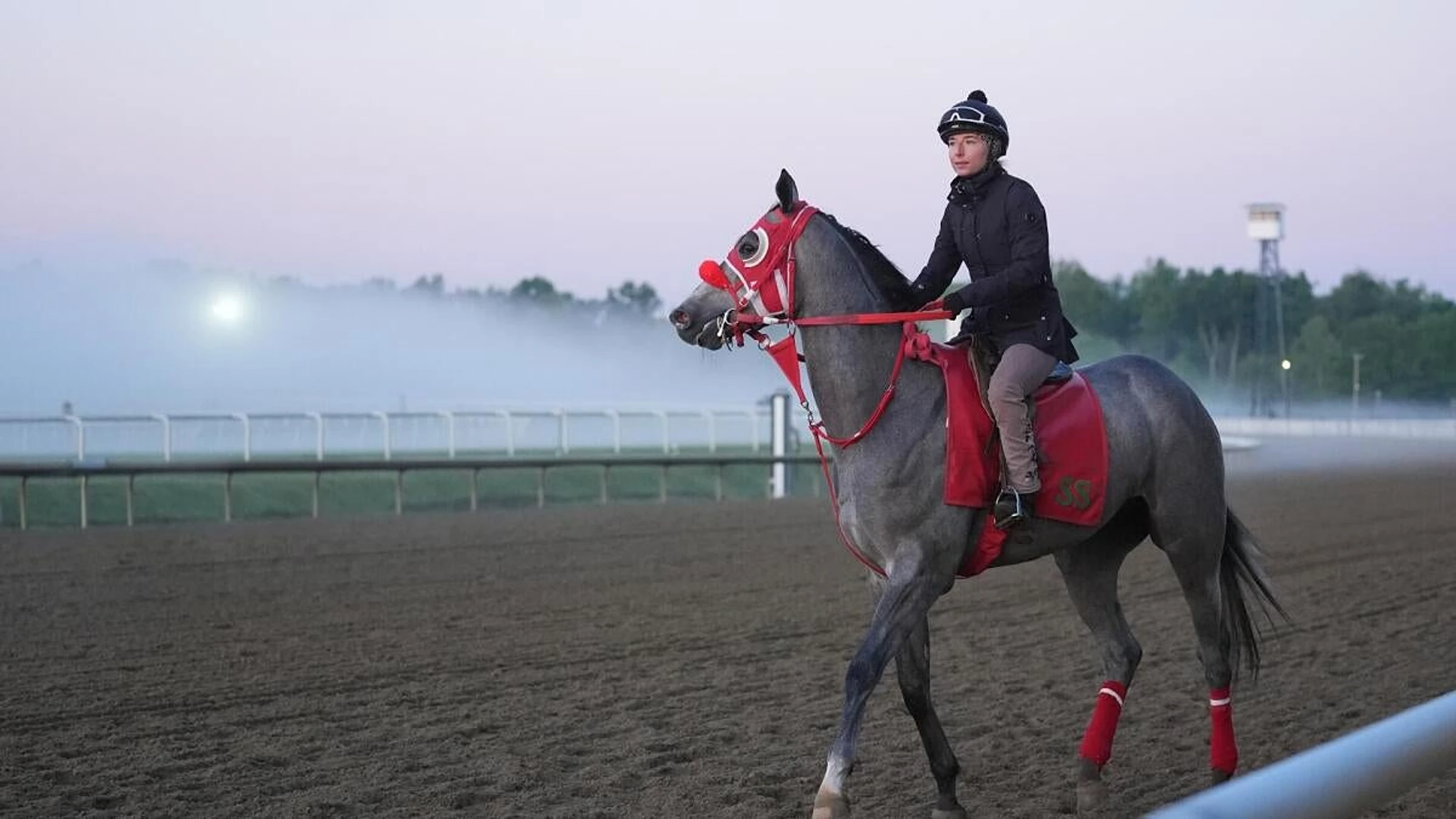 2026 Preakness Stakes horses, odds, predictions, post draw: Expert who nailed 11 winners locks in picks