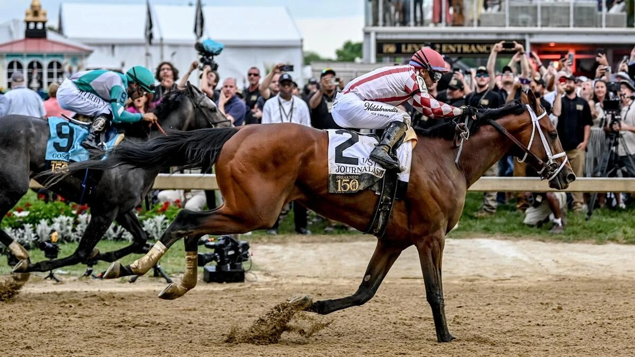 Crupper profile: 2026 Preakness Stakes odds, post position, history and more to know