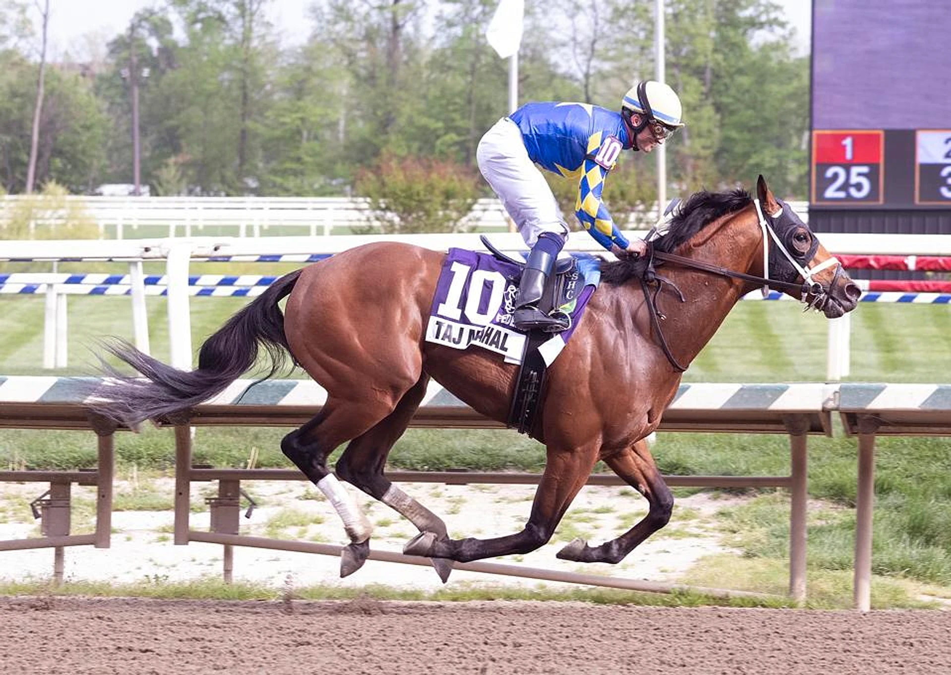 The 14 Horses Competing In The 2026 Preakness Stakes