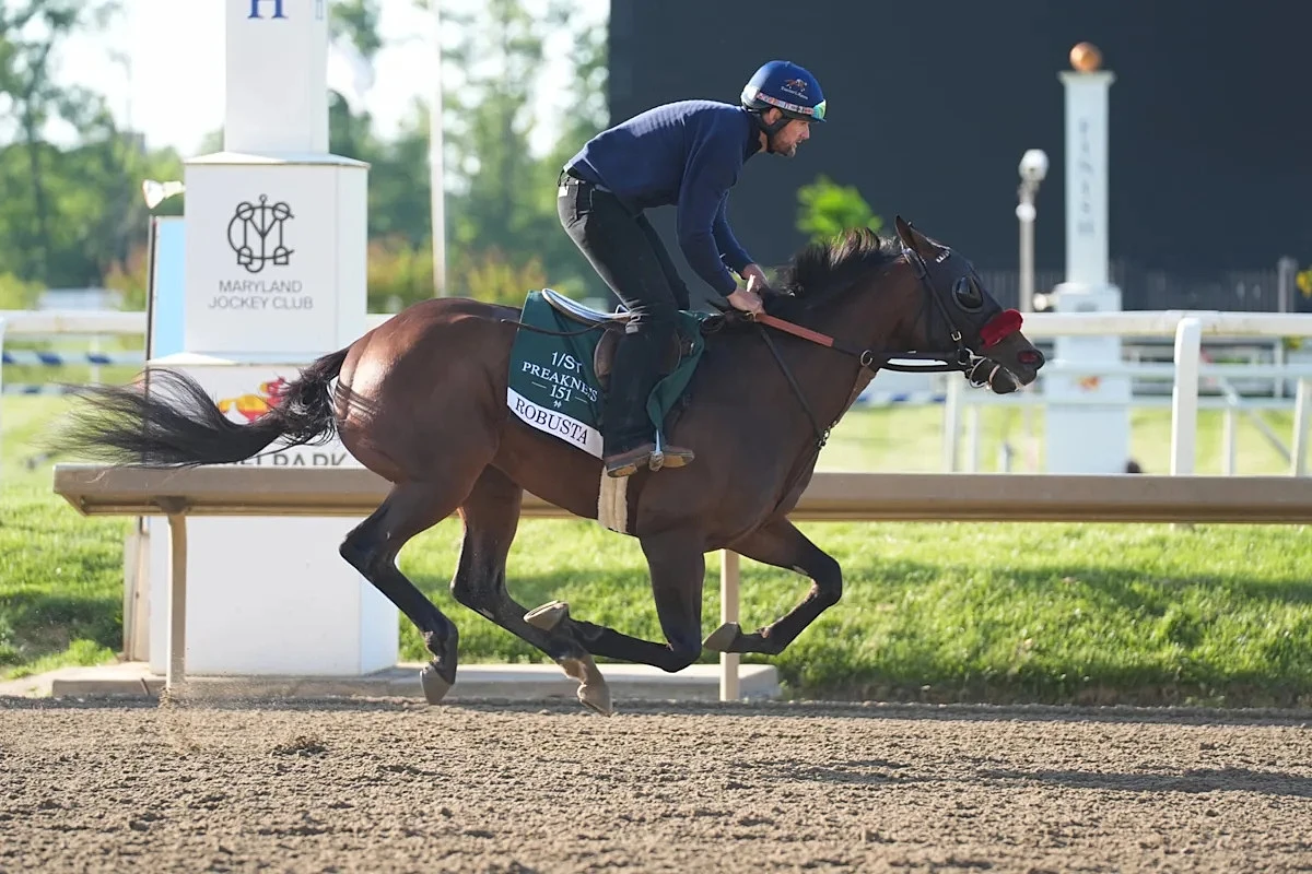 2026 Preakness Stakes Horses: Ranking All 14 Competitors & Prediction For Race Winner
