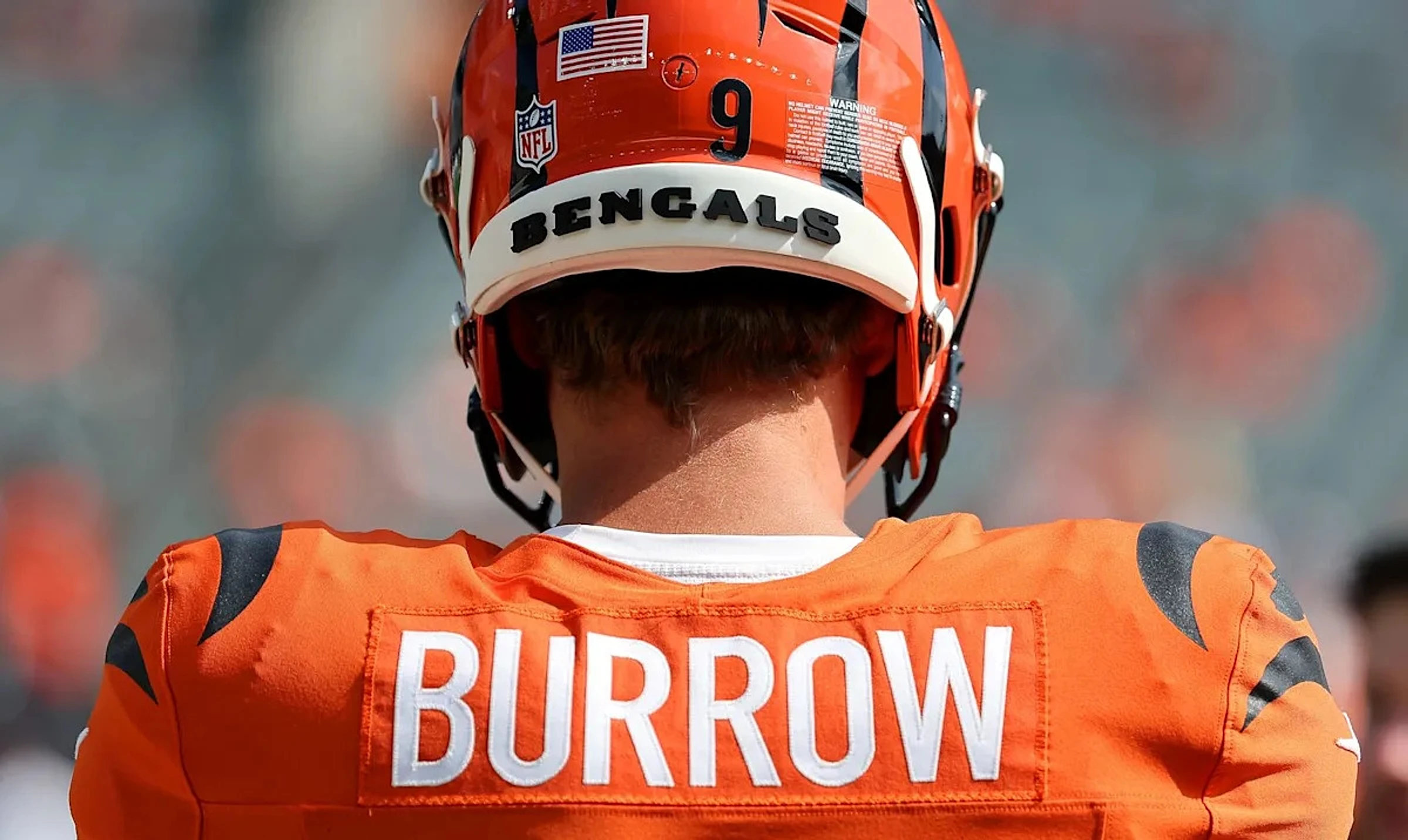 Bengals fans finally get their wish from the NFL