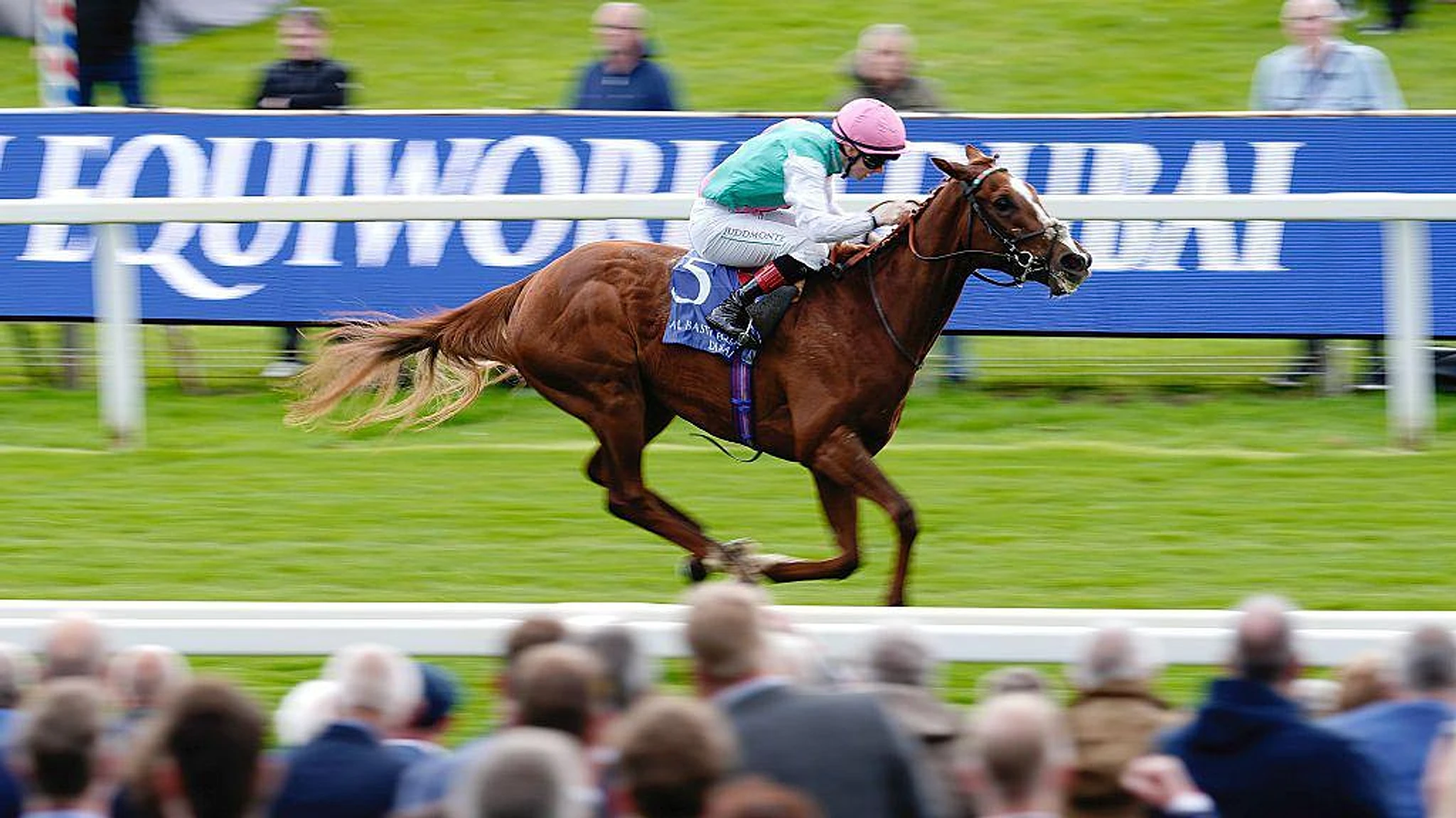 Item makes Epsom Derby case with Dante win