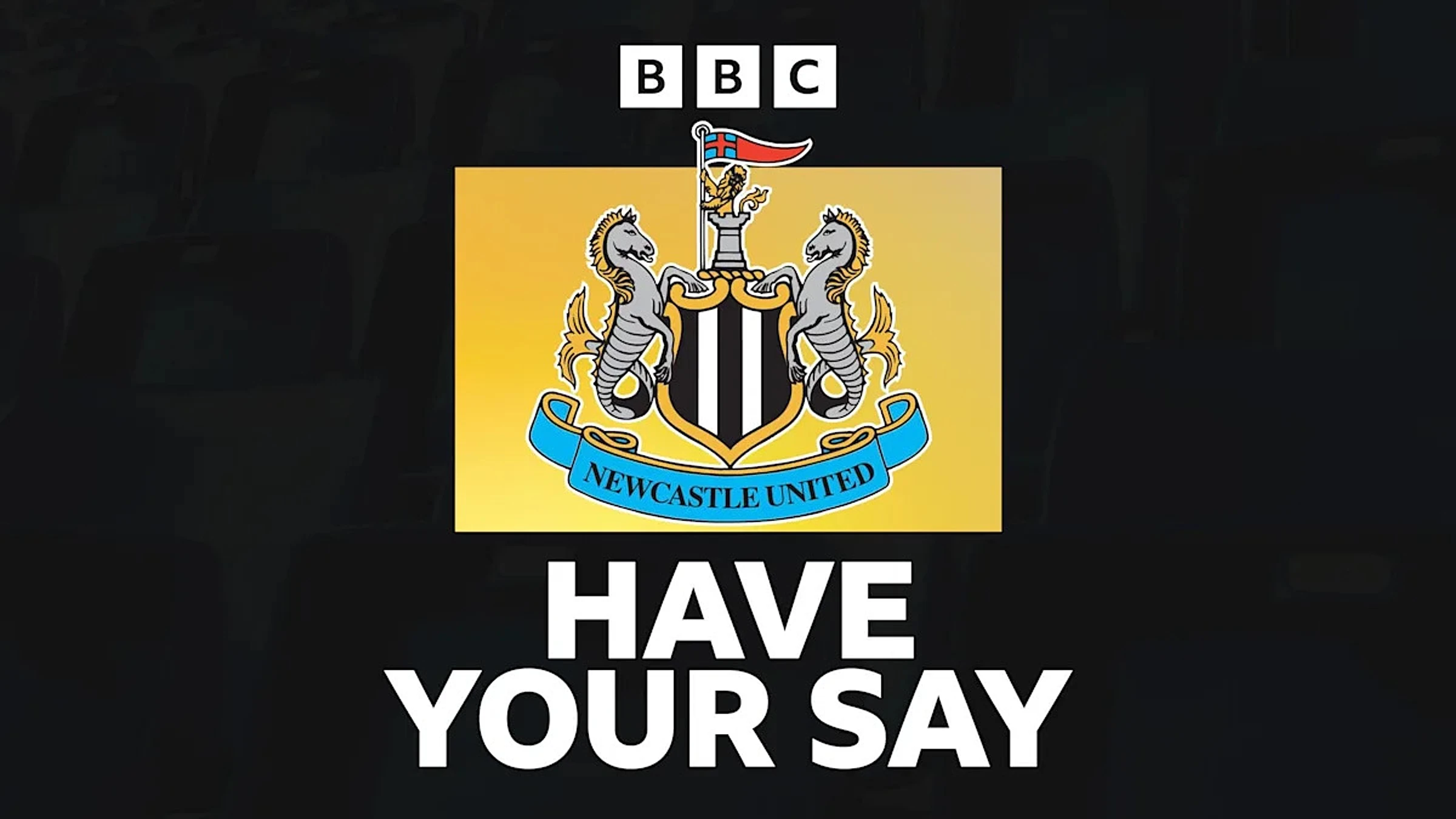 Which of Newcastle's new players will come good? Who should move on?