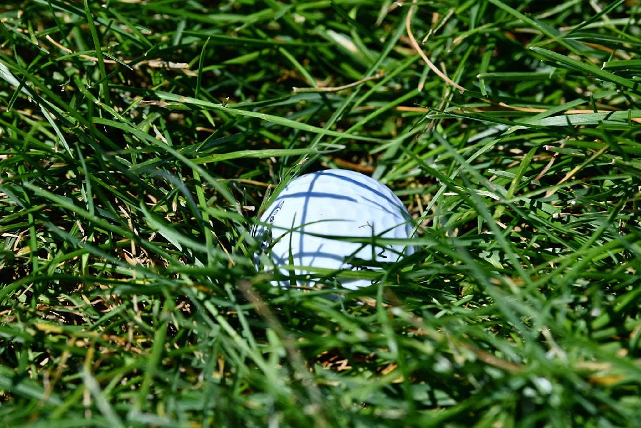 First Coast golf scorecard