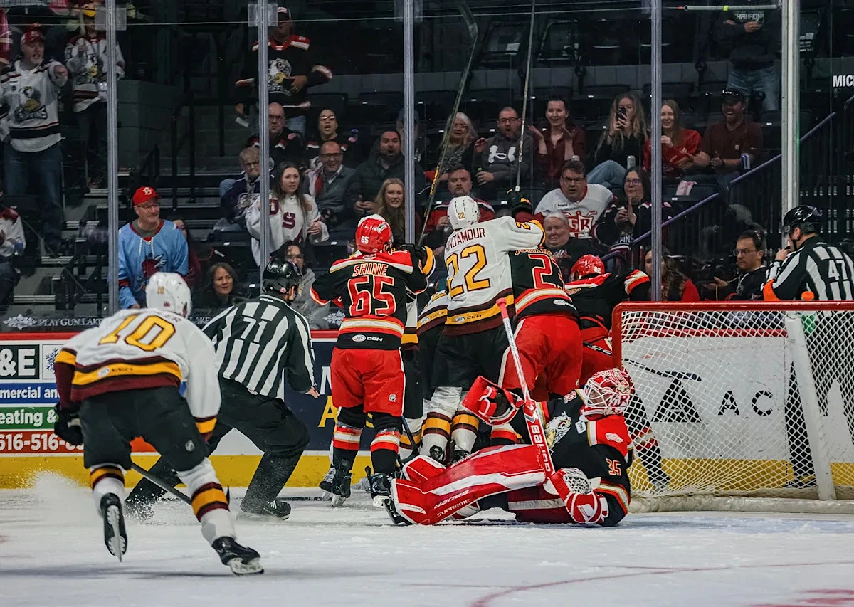 Detroit Red Wings prospect G Michal Postava shines in Griffins loss