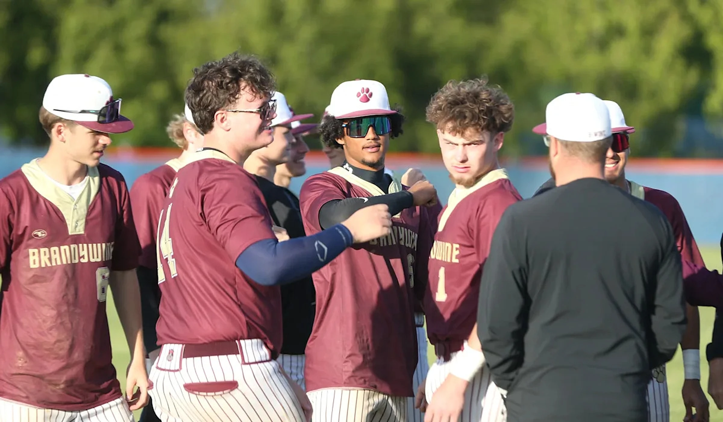 Brandywine baseball poised to win first district championship in 18 years