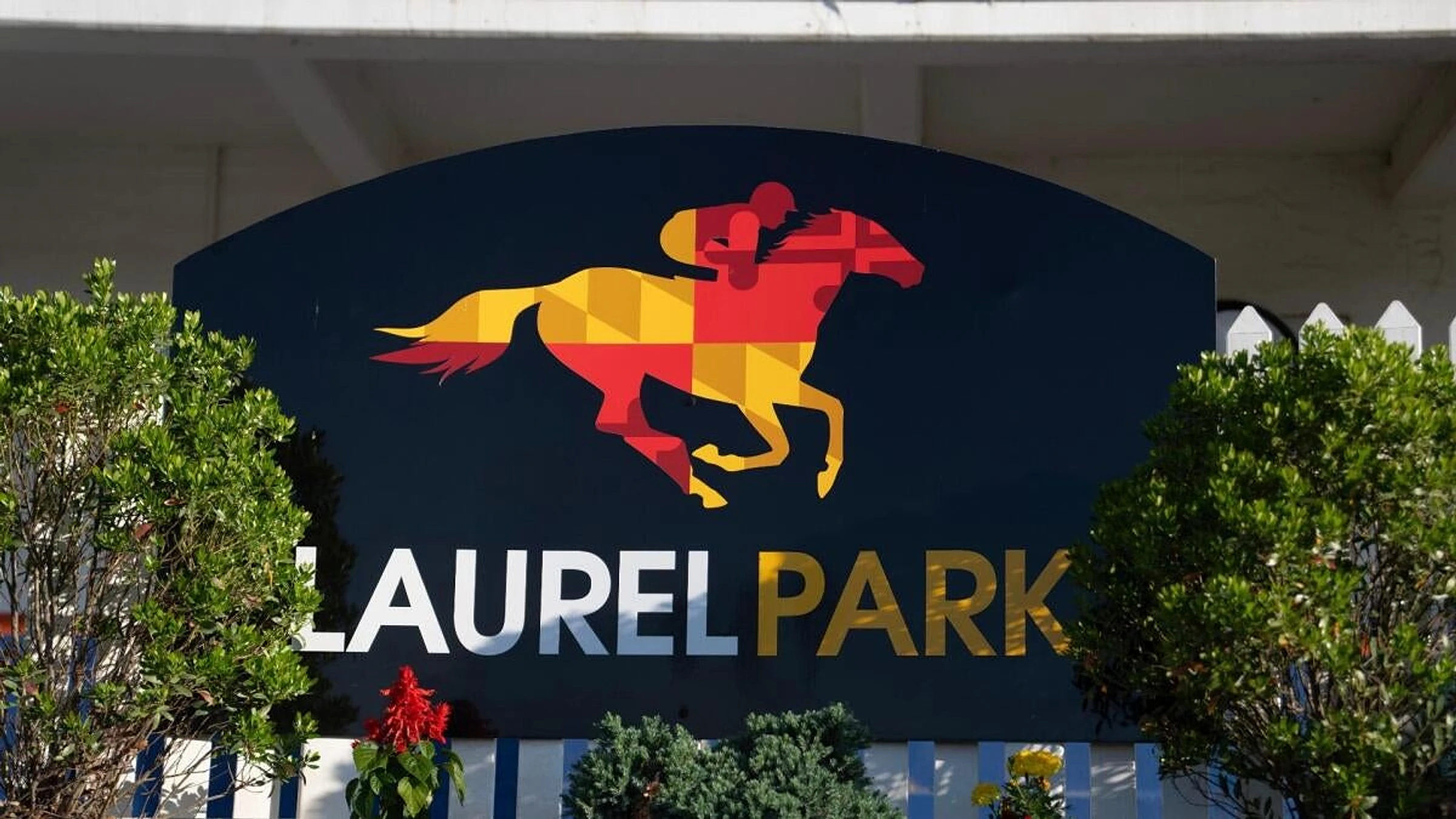 Preakness Stakes 2026 predictions, odds, horses, time: Win, place, show, exacta, trifecta, superfecta picks