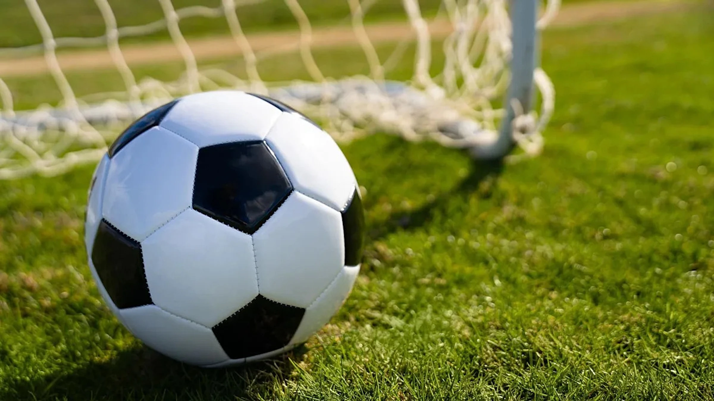 Brighton & Hove Albion v Tottenham Hotspur