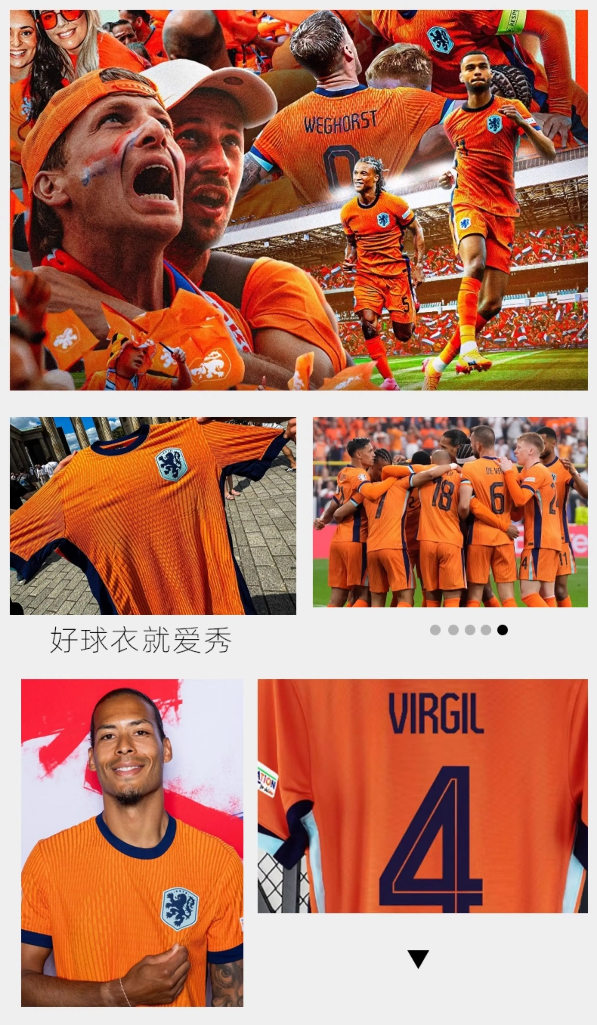 Netherlands National Team Jersey #4 Van Dijk Kit - Men's & Youth Custom Football Training Set detail 1