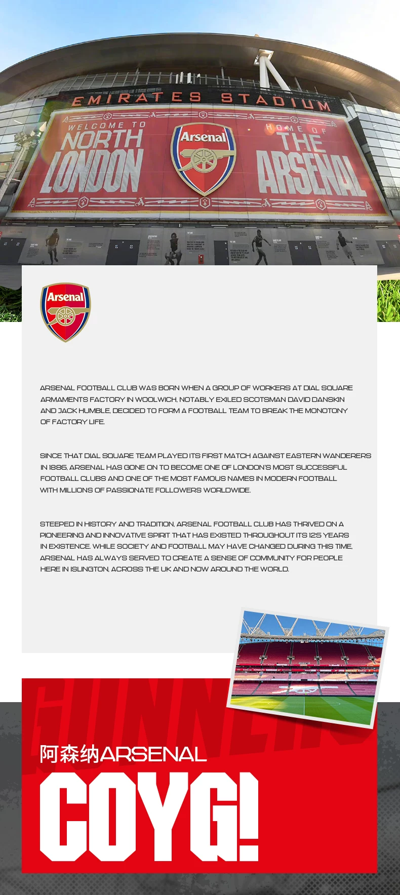 Arsenal 25/26 Away Fan Jersey detail 11