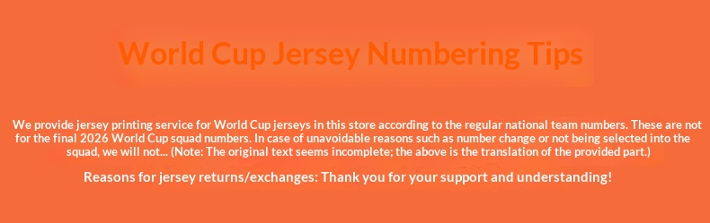 Adidas Germany 2026 World Cup Home Fan Jersey detail 1