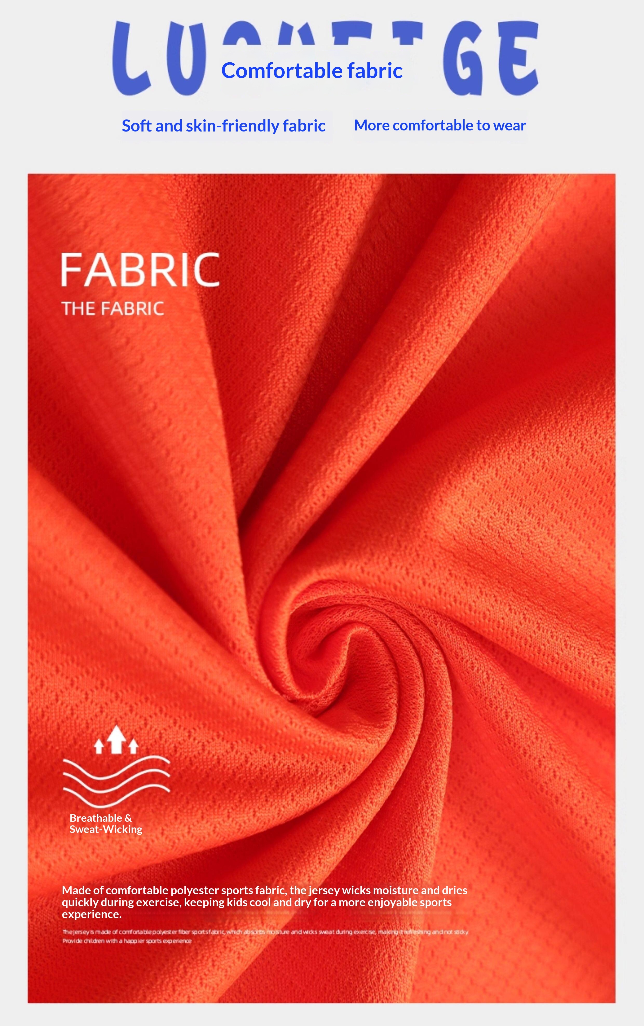 Netherlands National Team Jersey #4 Van Dijk Kit - Men's & Youth Custom Football Training Set detail 3