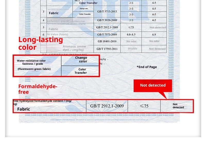 France National Team 2024 World Cup Jersey Kit with Mbappe Customization detail 9