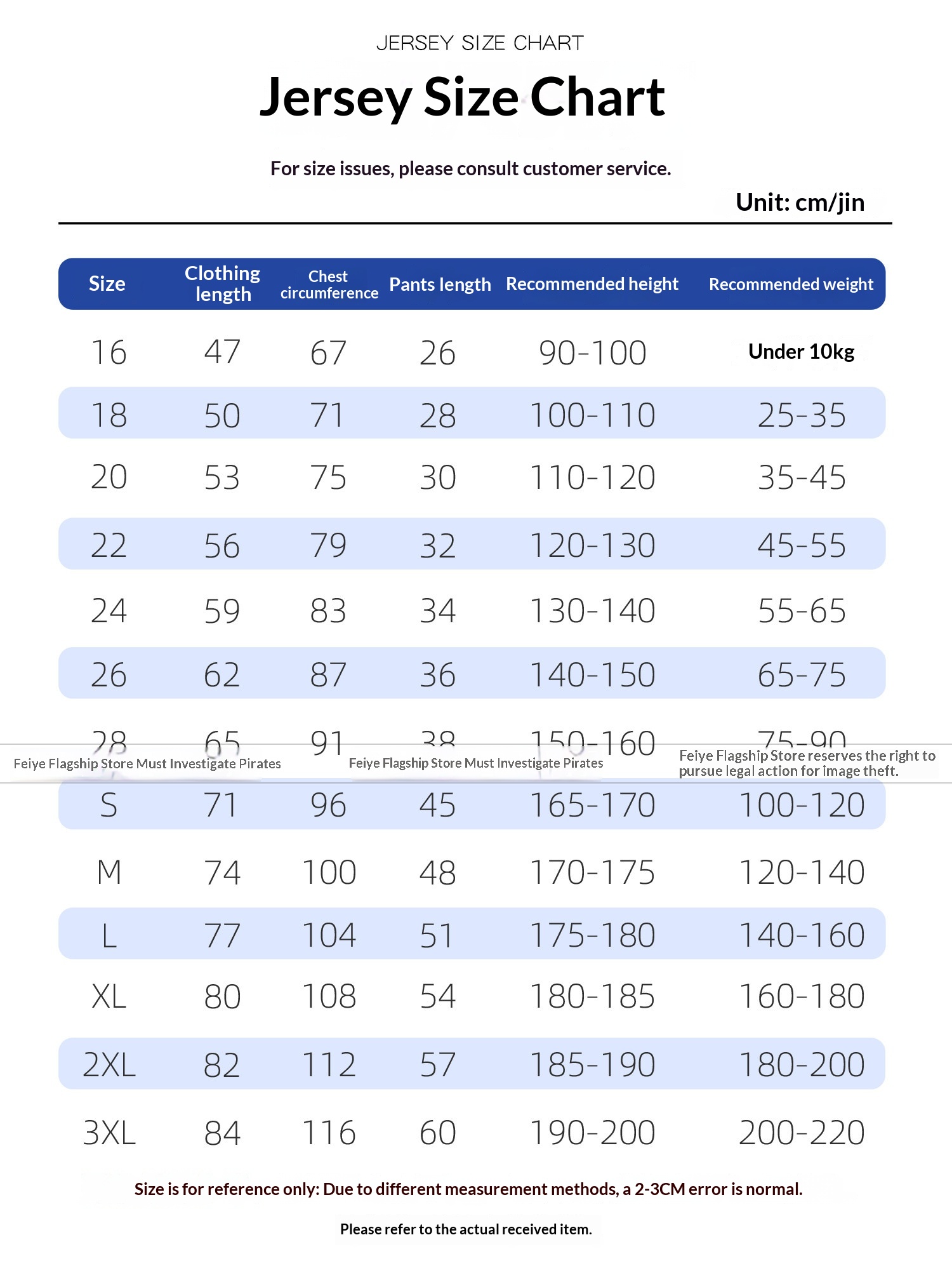 Chelsea FC 2526 Home/Away Jersey & Training Kit Set - Enzo Palmer Custom detail 4